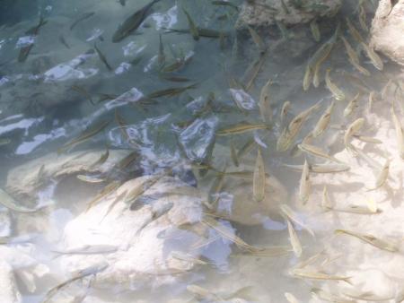 Erawan - Parc Naturel